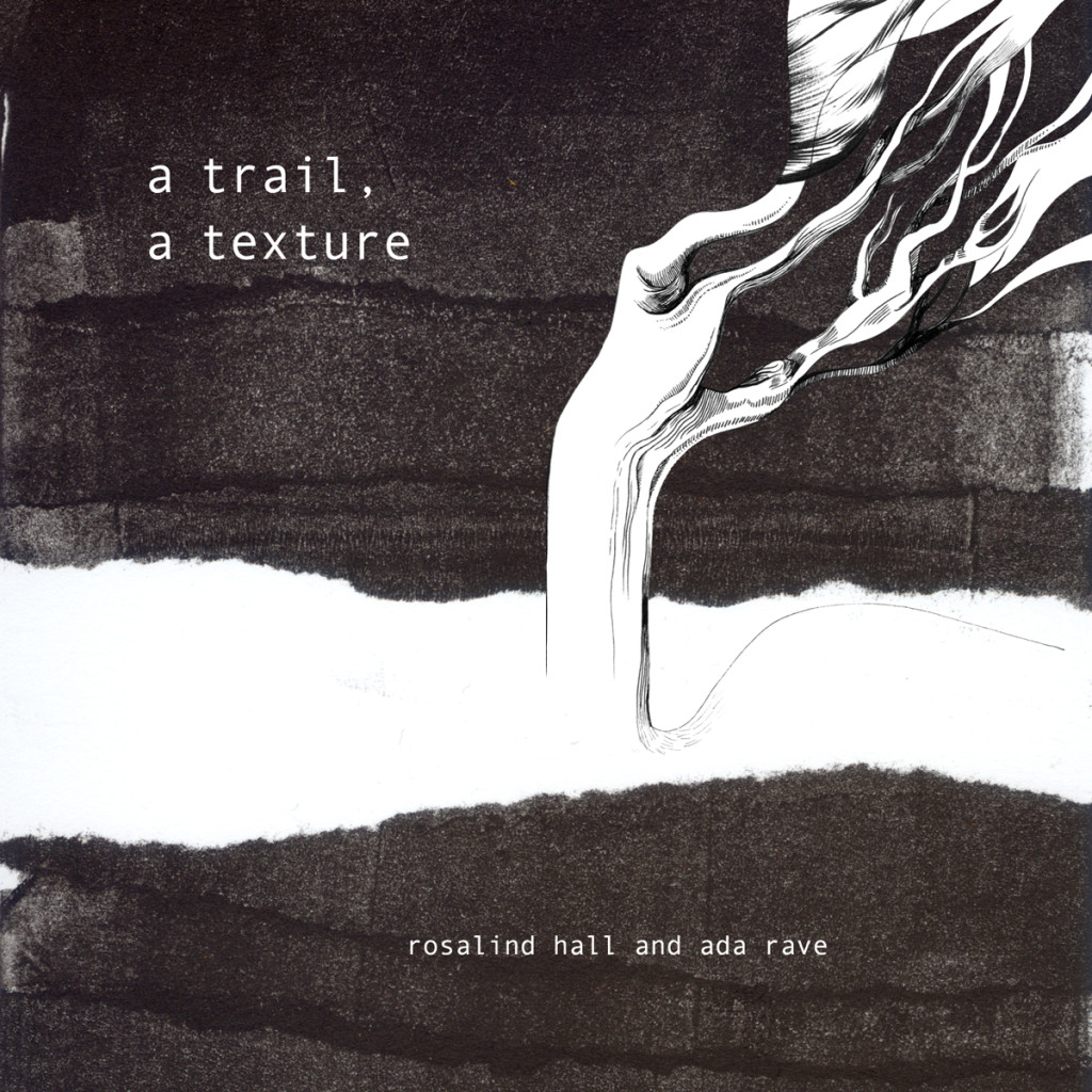 ada-and-rosalind_trail-texture-album-art_sanyaglisic2015_WEB